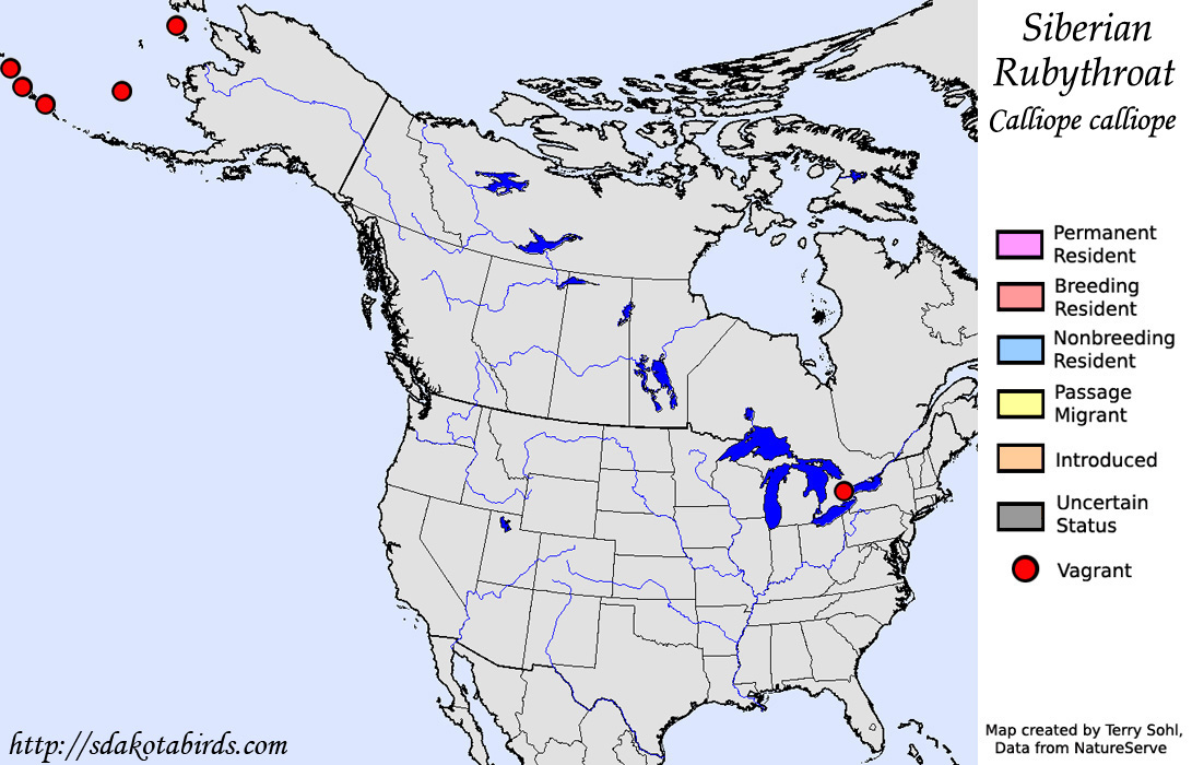 Siberian Rubythroat - North American Range Map