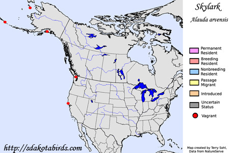 Eurasian Skylark - Range Map