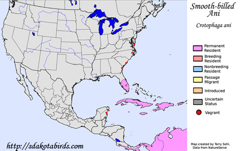 Smooth-billed Ani - Range Map