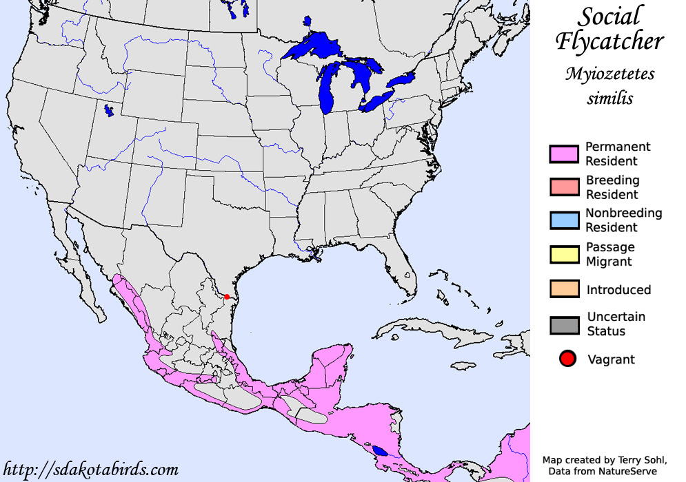 Social Flycatcher - North American Range Map