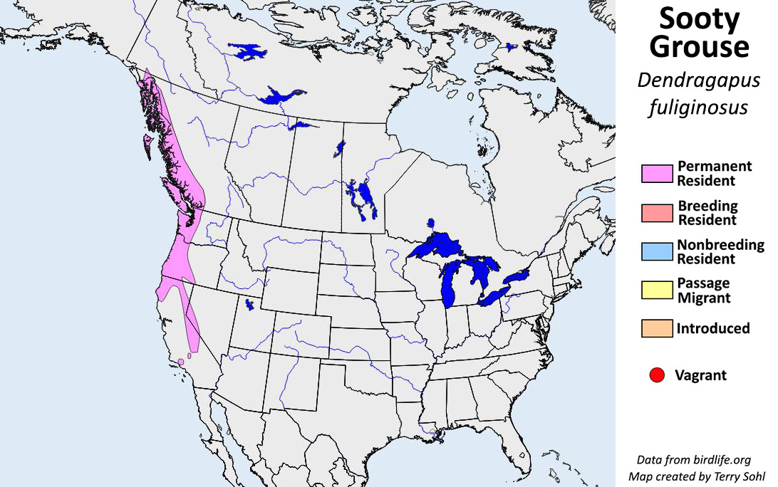 Sooty Grouse - North American Range Map