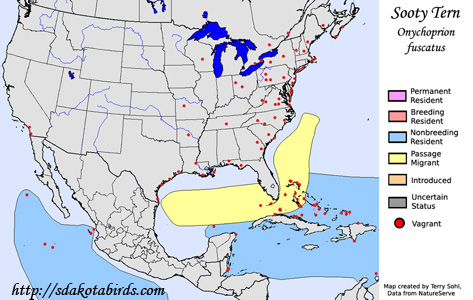 Sooty Tern - Range Map