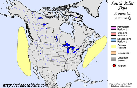 South Polar Skua - Range Map