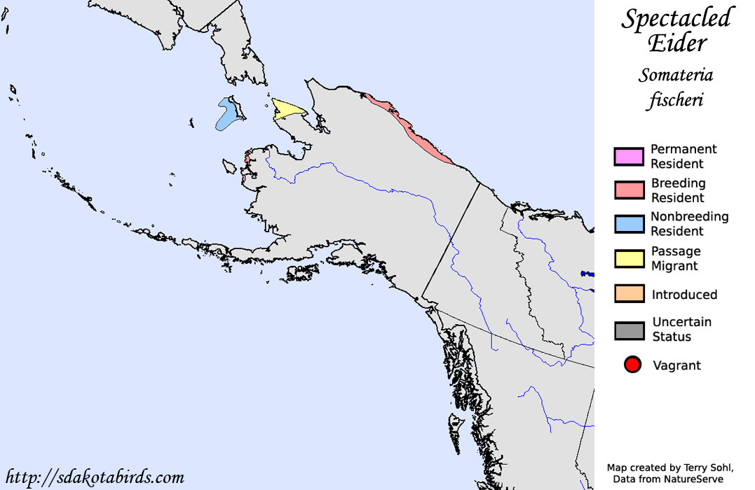 Spectacled Eider - North American Range Map