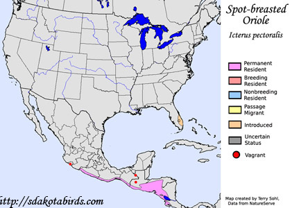 Spot-breasted Oriole - Range Map