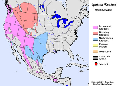 Spotted Towhee - Range Map