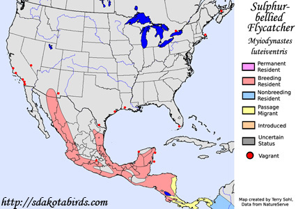 Sulphur-bellied Flycatcher - Range Map