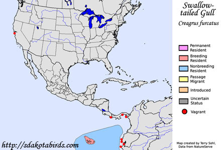 Swallow-tailed Gull - Range Map