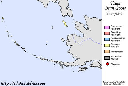 Taiga Bean Goose - Range Map