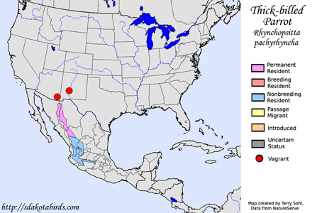 Thick-billed Parrot - Range Map