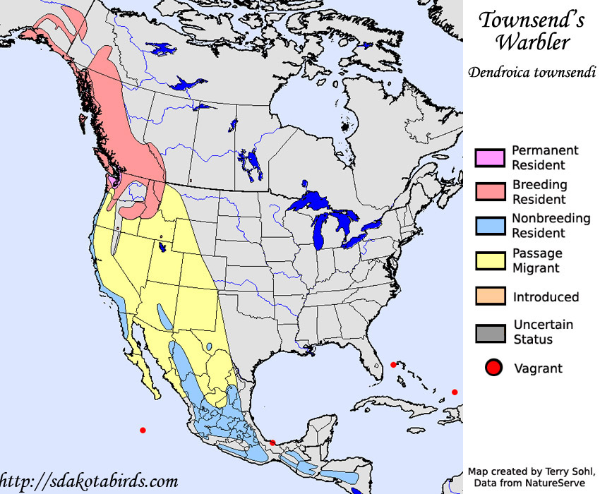 Townsend's Warbler - Range Map