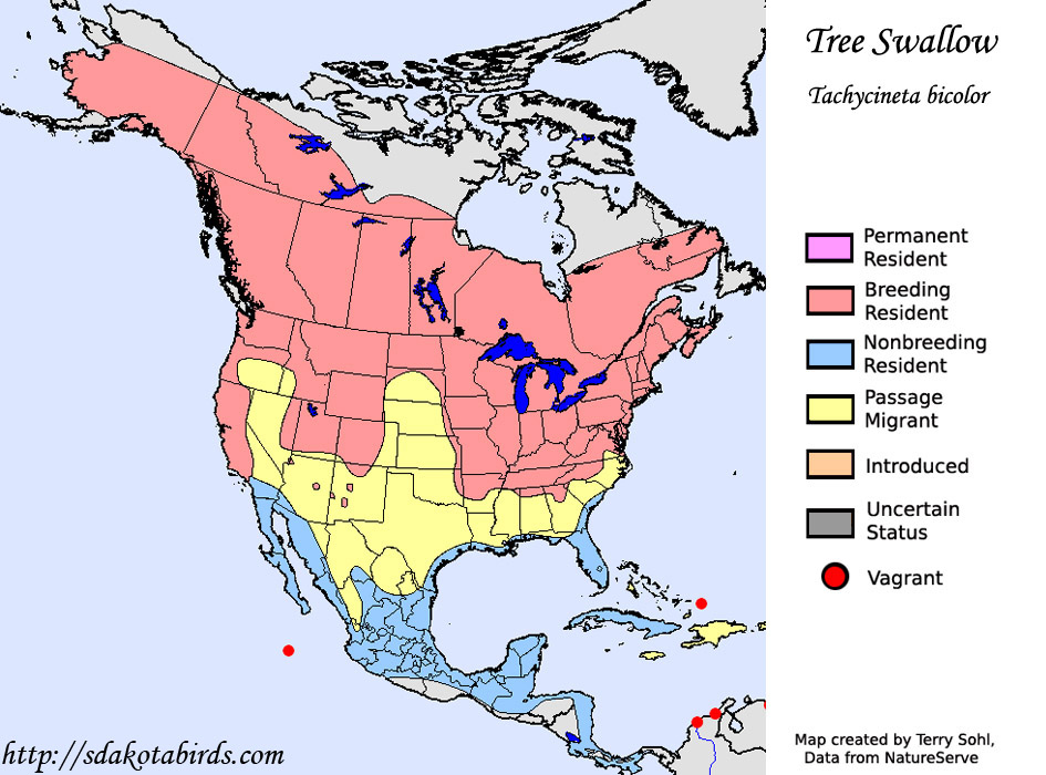 Tree Swallow Species Range Map