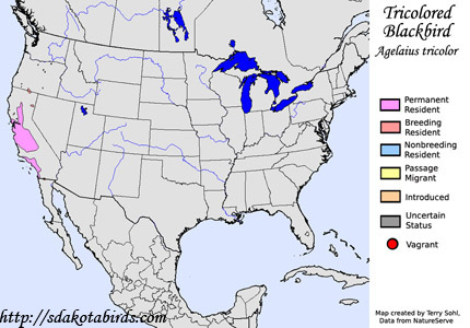 Tricolored Blackbird - Range Map