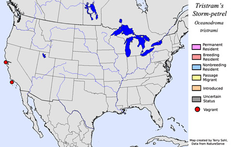 Tristram's Storm-petrel - Range Map