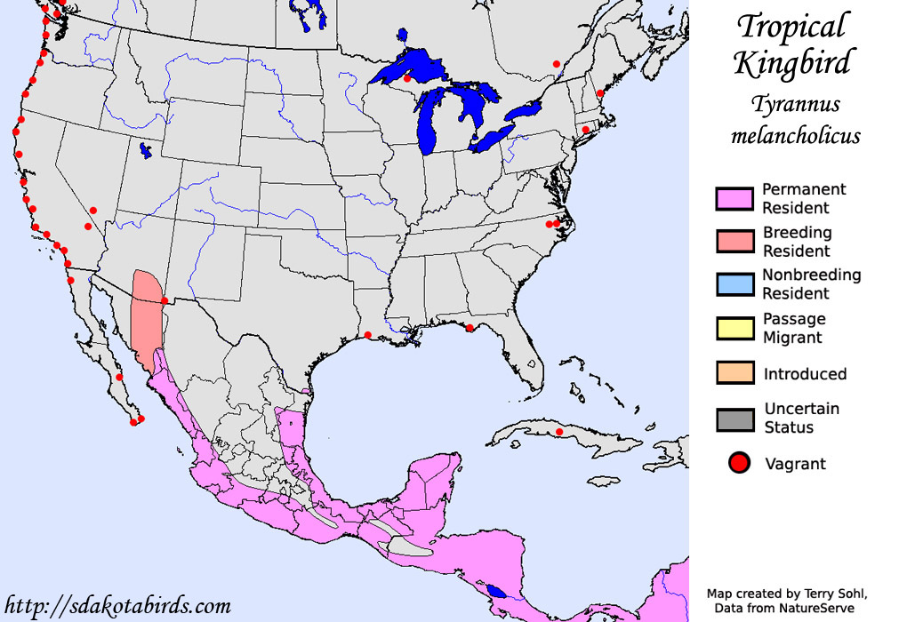 Tropical Kingbird - North American Range Map