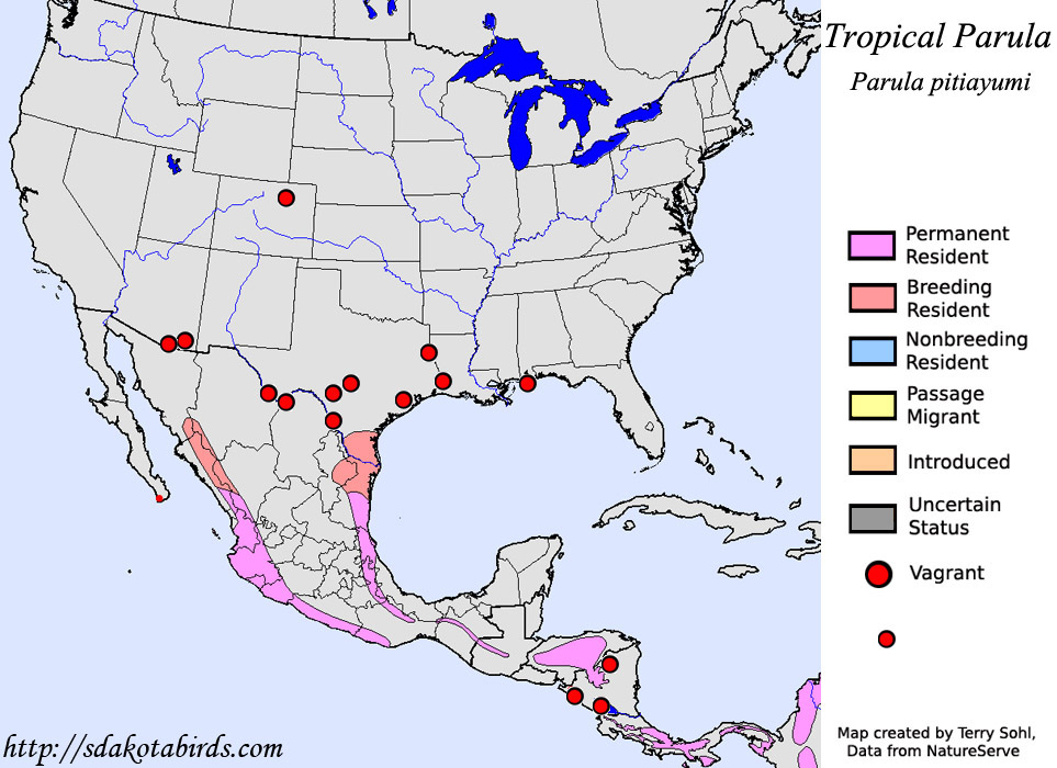 Tropical Parula - North American Range Map