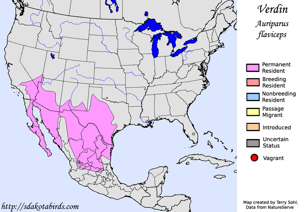 Verdin - North American Range Map