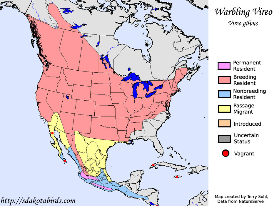 Warbling Vireo Species Range Map