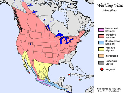 Warbling Vireo - Range Map