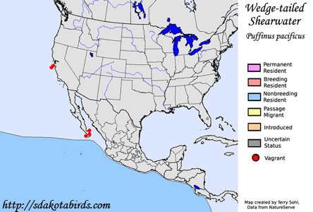 Wedge-tailed Shearwater - Range Map