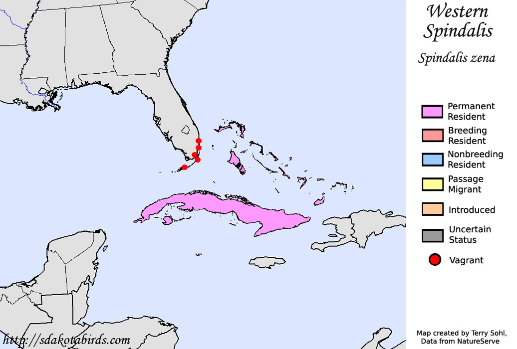 Western Spindalis - North American Range Map