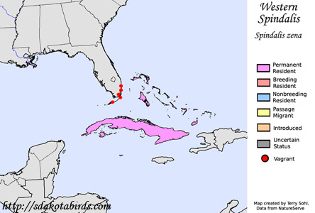 Western Spindalis - Range Map