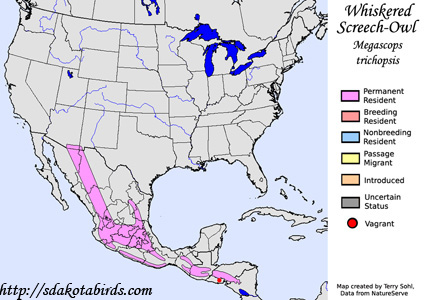 Whiskered Screech-Owl - Range Map