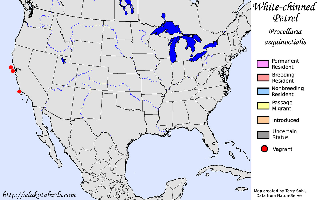 White-chinned Petrel - North American Range Map