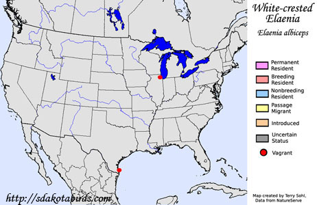 White-crested Elaenia - Range Map
