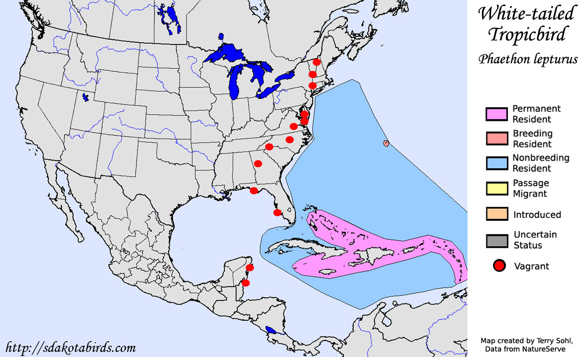 White-tailed Tropicbird - North American Range Map