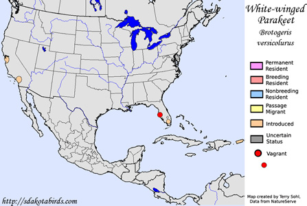 White-winged Parakeet - Range Map