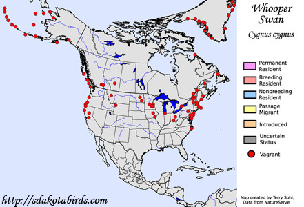 Whooper Swan - Range Map