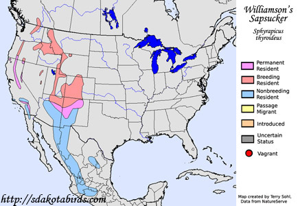 Williamson's Sapsucker - Sphyrapicus thyroideus - Range Map