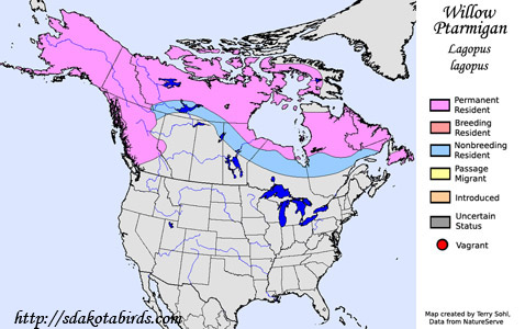 Willow Ptarmigan - Range Map