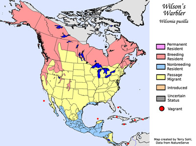 Wilson's Warbler - Range map
