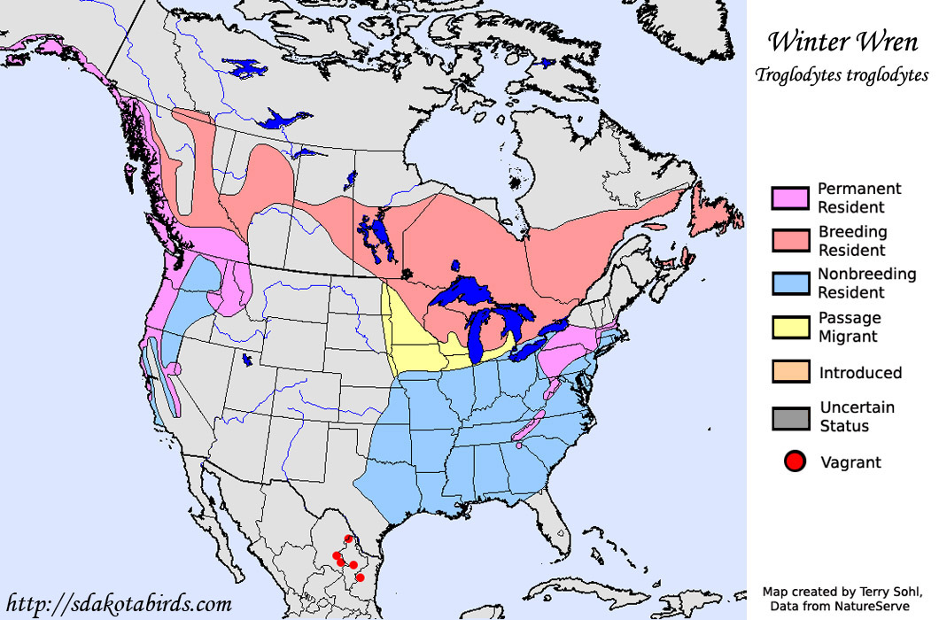 Winter Wren - Range Map