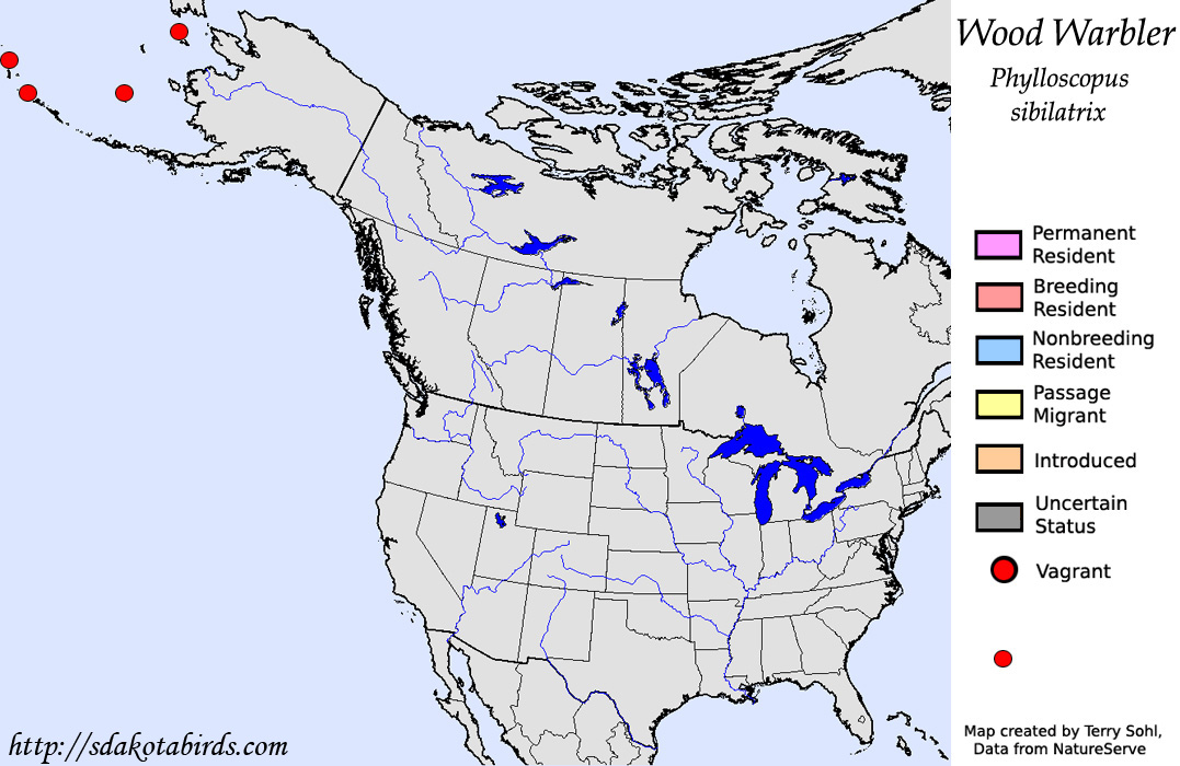 Wood Warbler - North American Range Map
