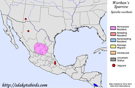 Worthen's Sparrow - Range Map