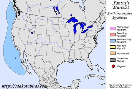 Xantus's Murrelet - Range Map