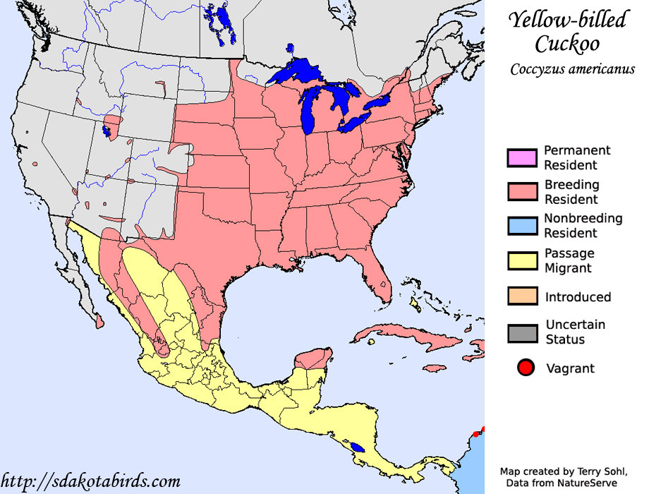Yellowbilled Cuckoo Species Range Map