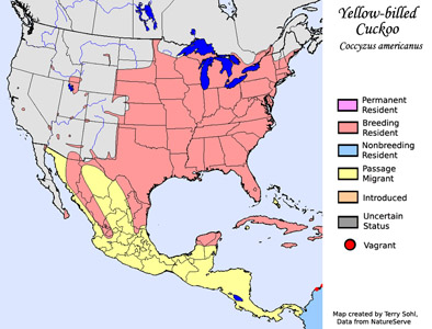 Yellow-billed Cuckoo - Range Map