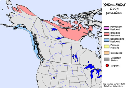 Yellow-billed Loon - Range map