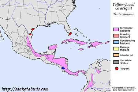 Yellow-faced Grassquit - Range Map