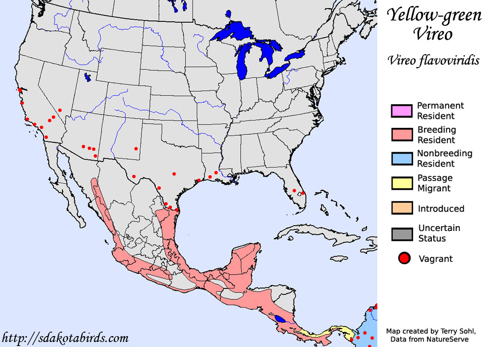 Yellow-green Vireo - North American Range Map