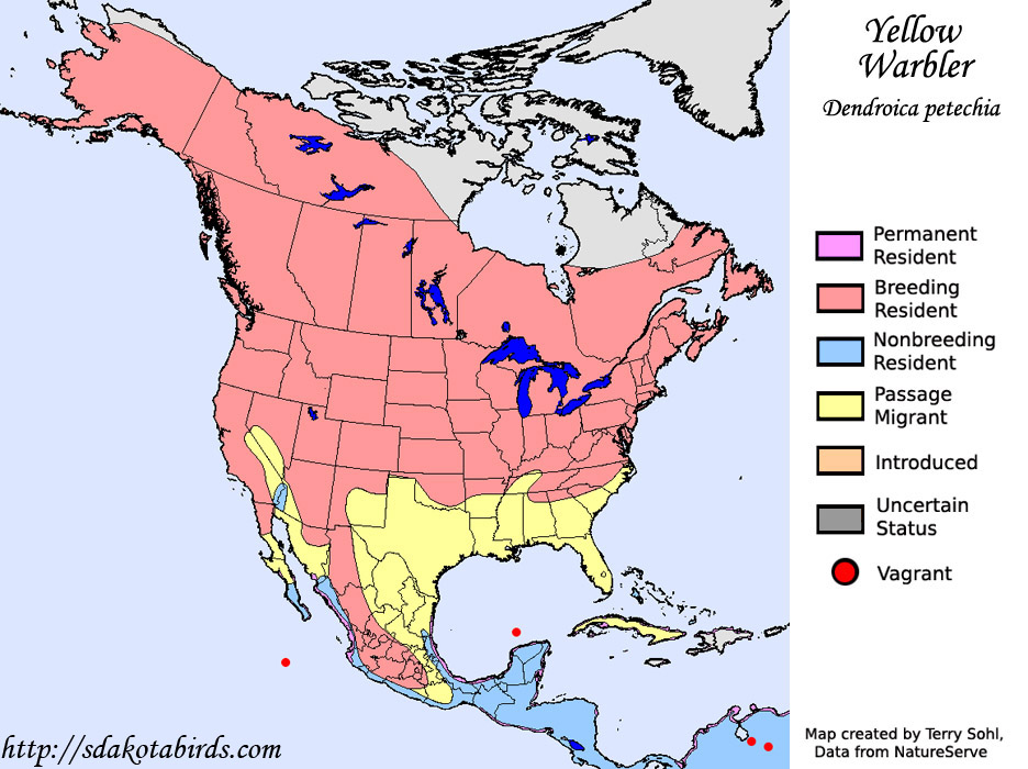 Yellow Warbler - Range map