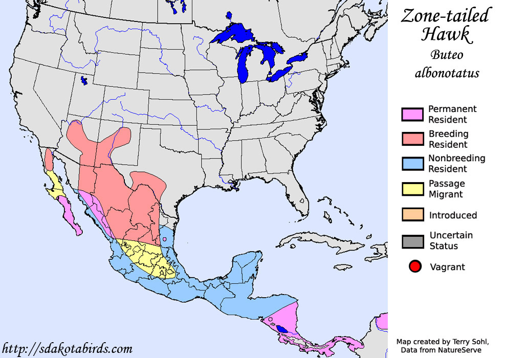 Zone-tailed Hawk - North American Range Map