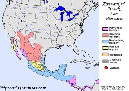 Zone-tailed Hawk - Range Map